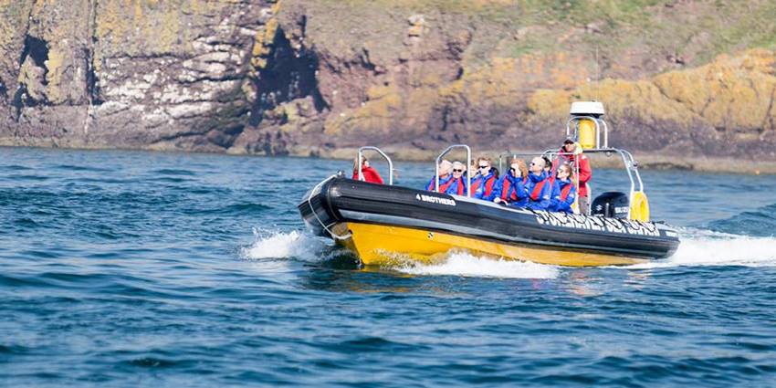 Stonehaven Sea Safari