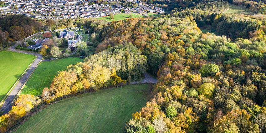 Dunnottar Woods